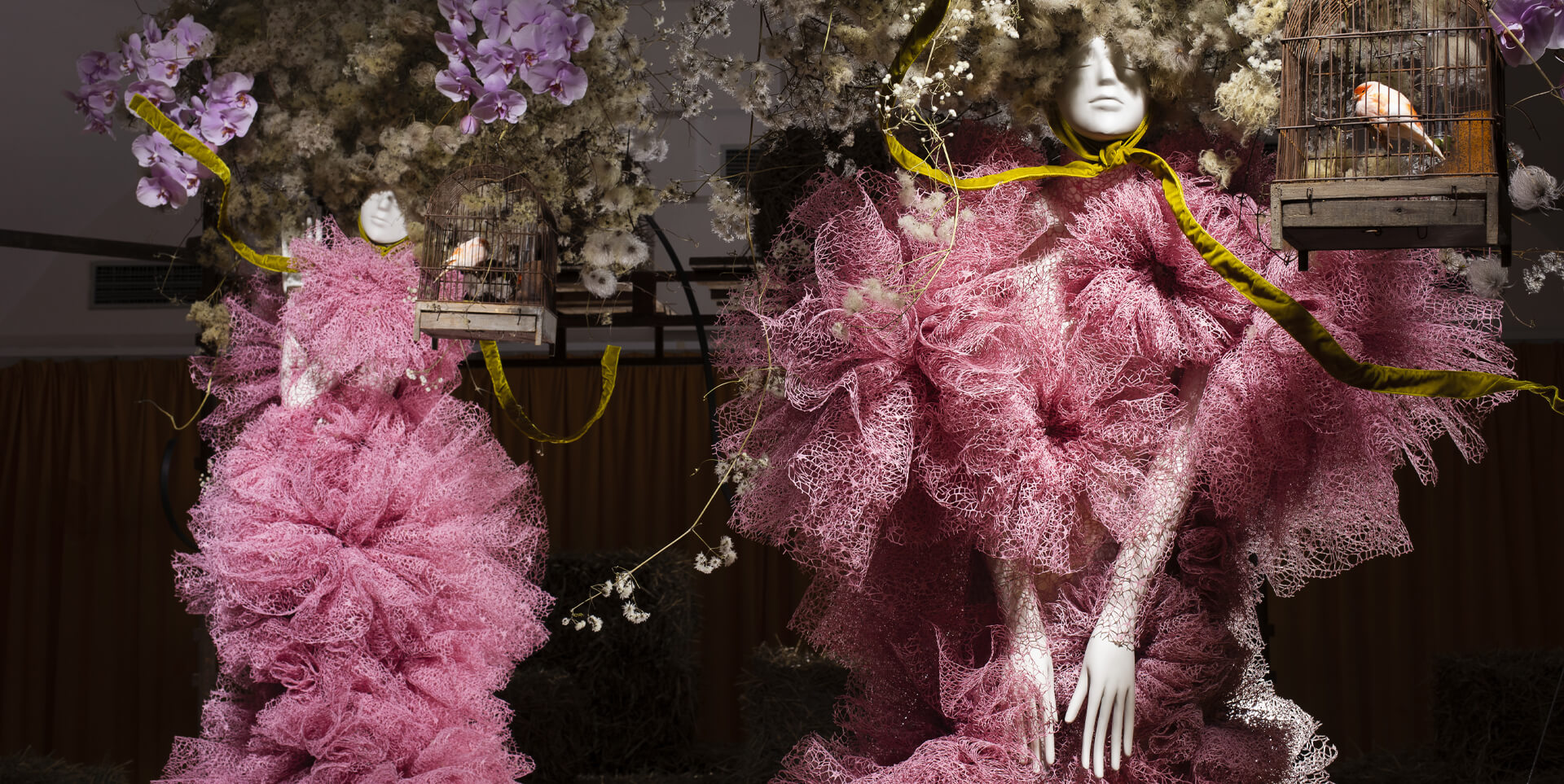 MADONY 3